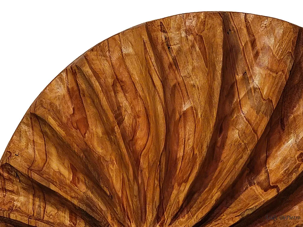 Wall Sculpture "Ambrosia Spiral" by Andy DiPietro