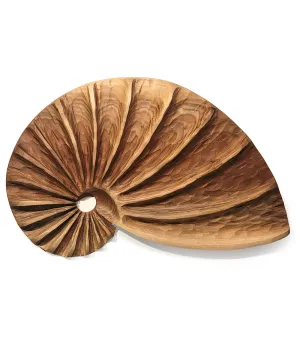Wall Sculpture "Bleached Walnut Fibonacci Shell" by Andy DiPietro